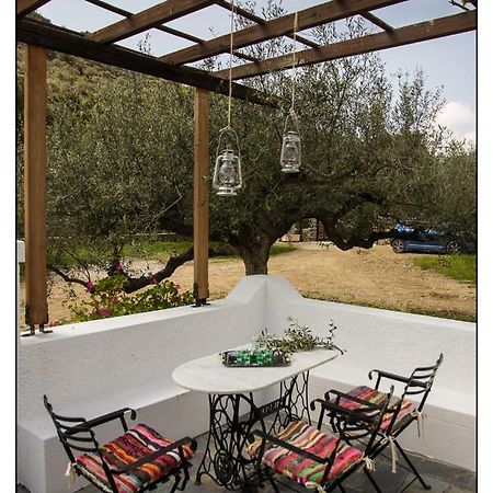 הוילה קרפאטוס Liodentro House מראה חיצוני תמונה
