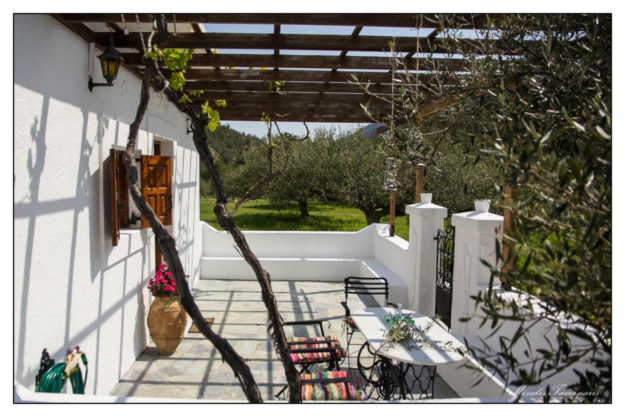 הוילה קרפאטוס Liodentro House מראה חיצוני תמונה