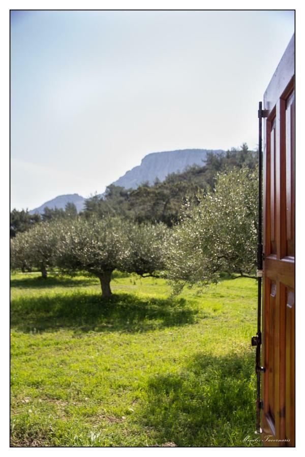 הוילה קרפאטוס Liodentro House מראה חיצוני תמונה